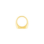 Courage Waterproof Chunky Signet Statement Ring 18K Gold Plating -DNSK Copenhagen