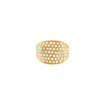 Joy Waterproof Clear Multi CZ Ring 18K Gold Plating -DNSK Copenhagen